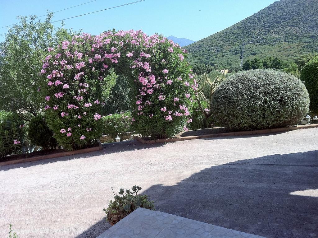 Villa Elofred Saint-Florent  Buitenkant foto