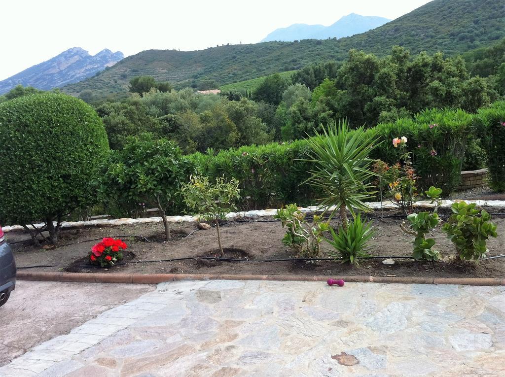 Villa Elofred Saint-Florent  Buitenkant foto